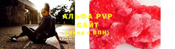 стаф Балахна