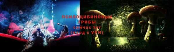 стаф Балахна