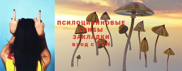 стаф Балахна