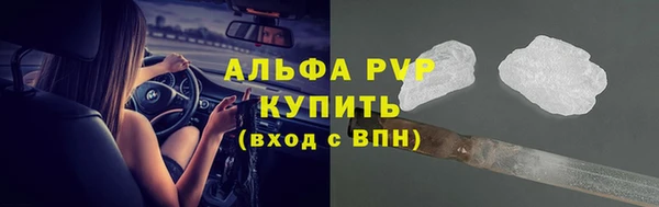 спайс Пересвет
