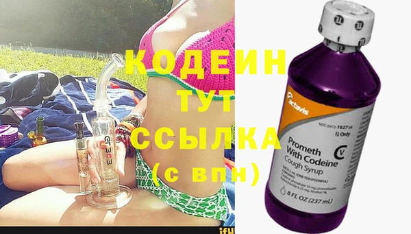 стаф Балахна
