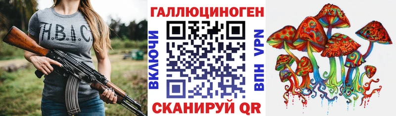 kraken   Снежногорск  Псилоцибиновые грибы Psilocybine cubensis 