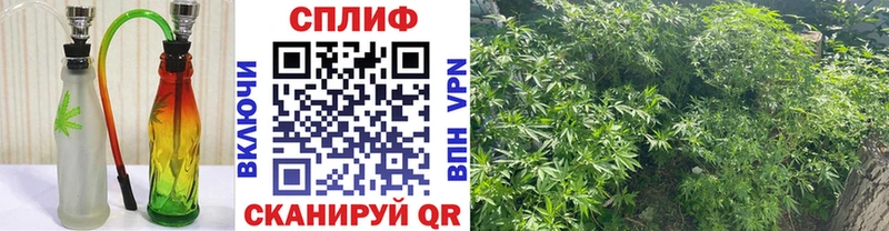 кракен ССЫЛКА  Снежногорск  Бошки Шишки OG Kush  магазин  наркотиков 